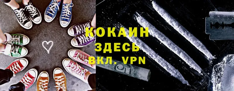 COCAIN Эквадор  купить наркоту  МЕГА маркетплейс  Власиха 